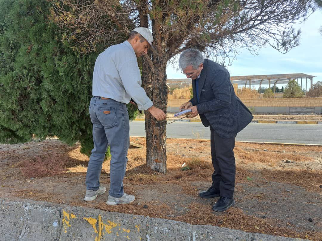 Survey on the state of the region's green spaces by the country's herbal medicine experts