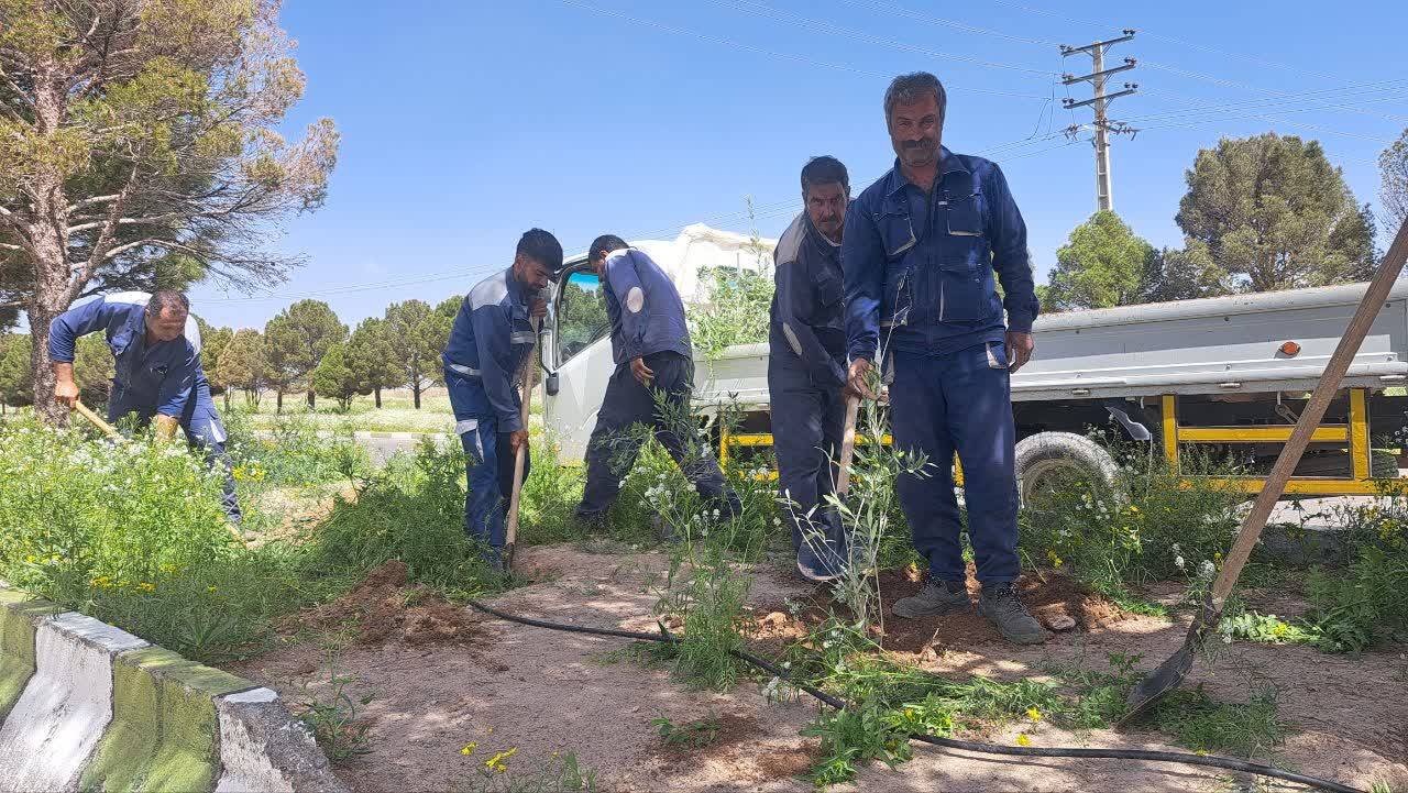 ​The Green Space Unit of the Zone has carried out a tree-planting initiative in honor of the martyrs