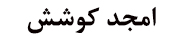 Amjad kooshesh company
